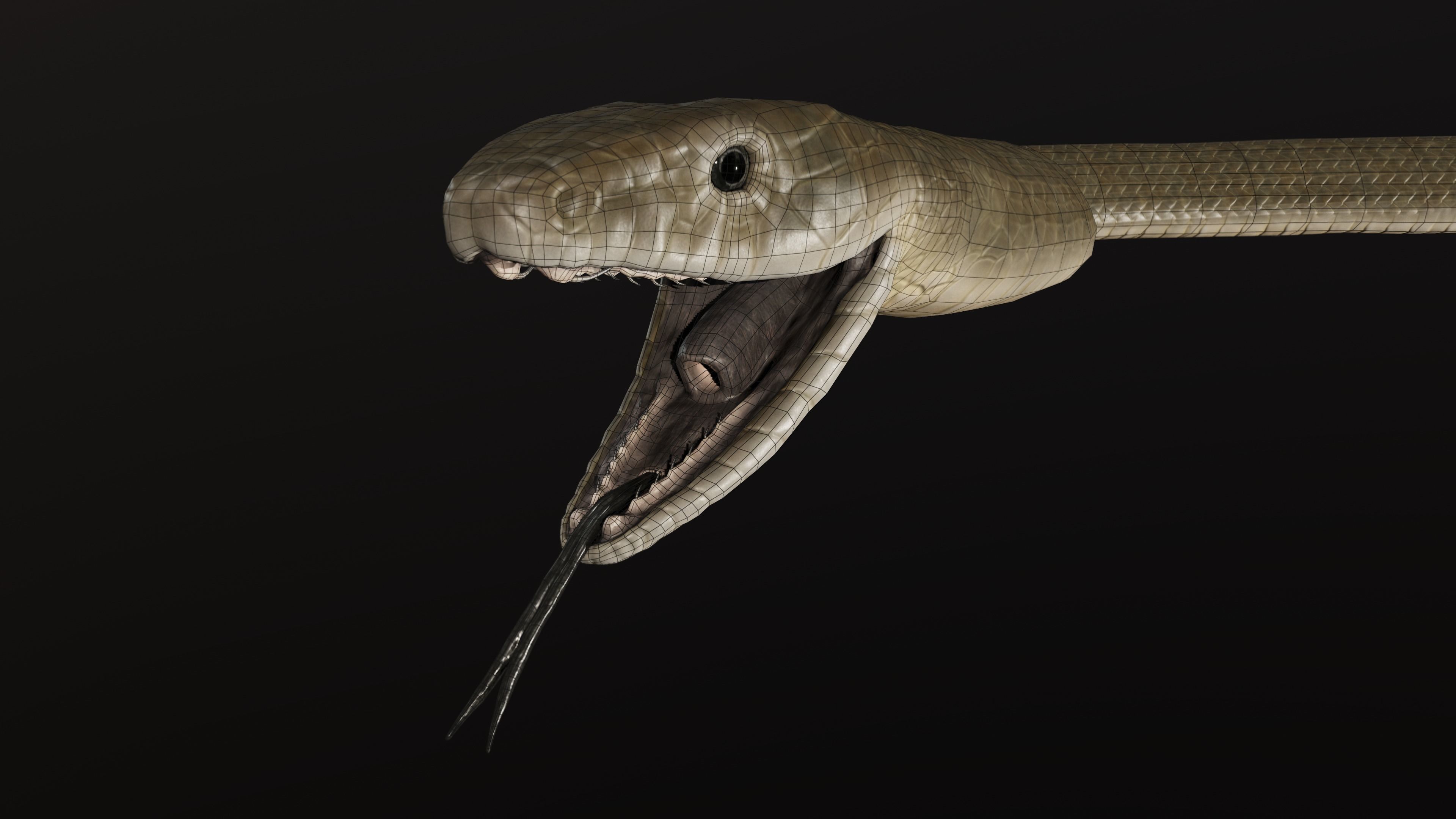 Black Mamba Snake Low-poly 3D model_15