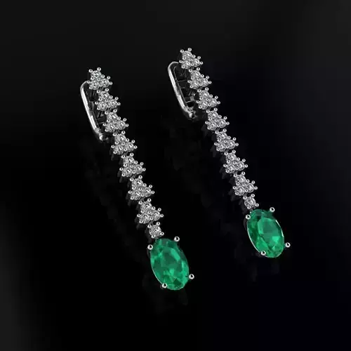 Earrings 15