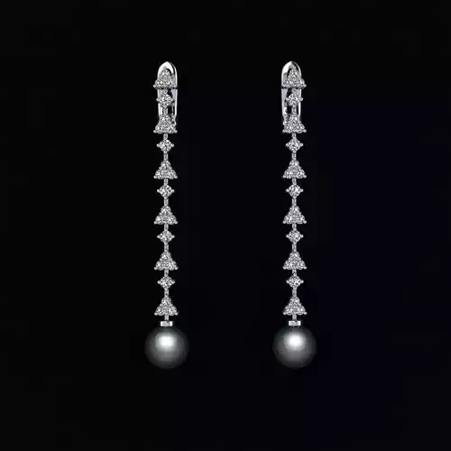 Earrings 14