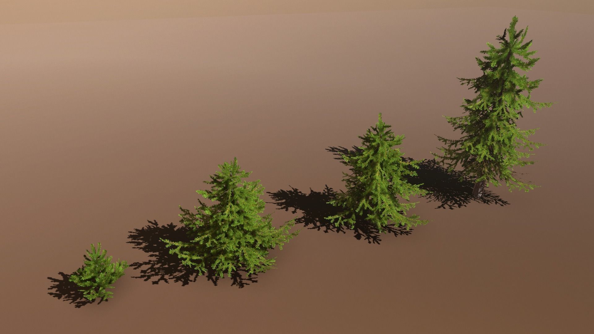 Conifer Small Pack Low-poly 3D model_9