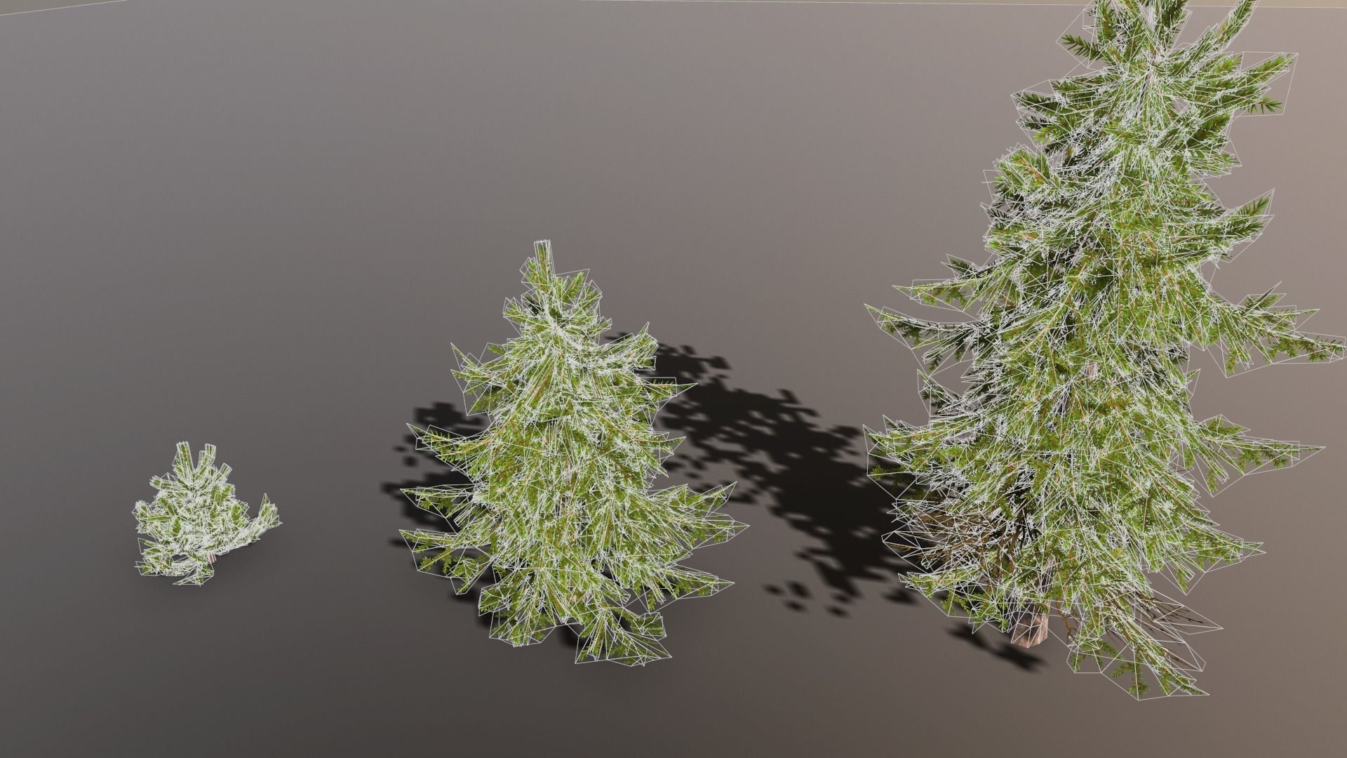 Conifer Small Pack Low-poly 3D model_14