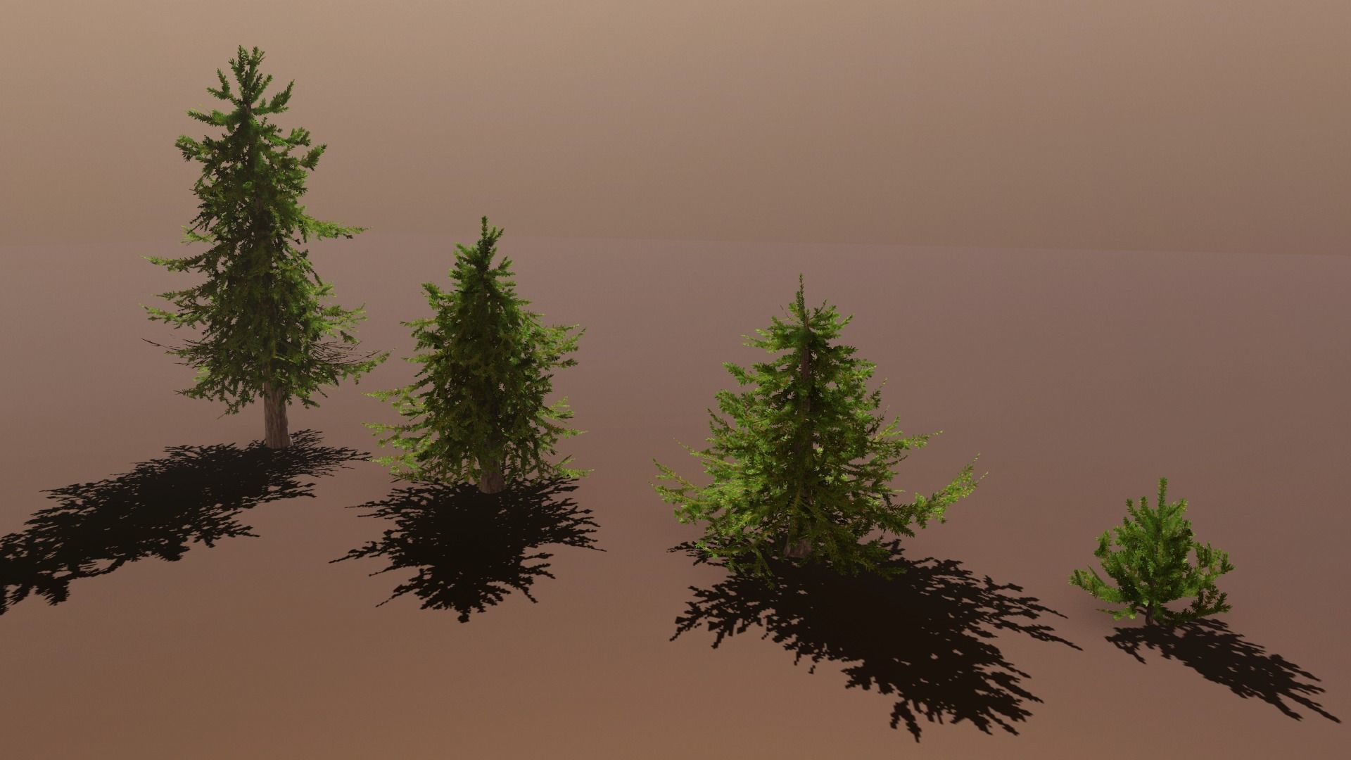 Conifer Small Pack Low-poly 3D model_10