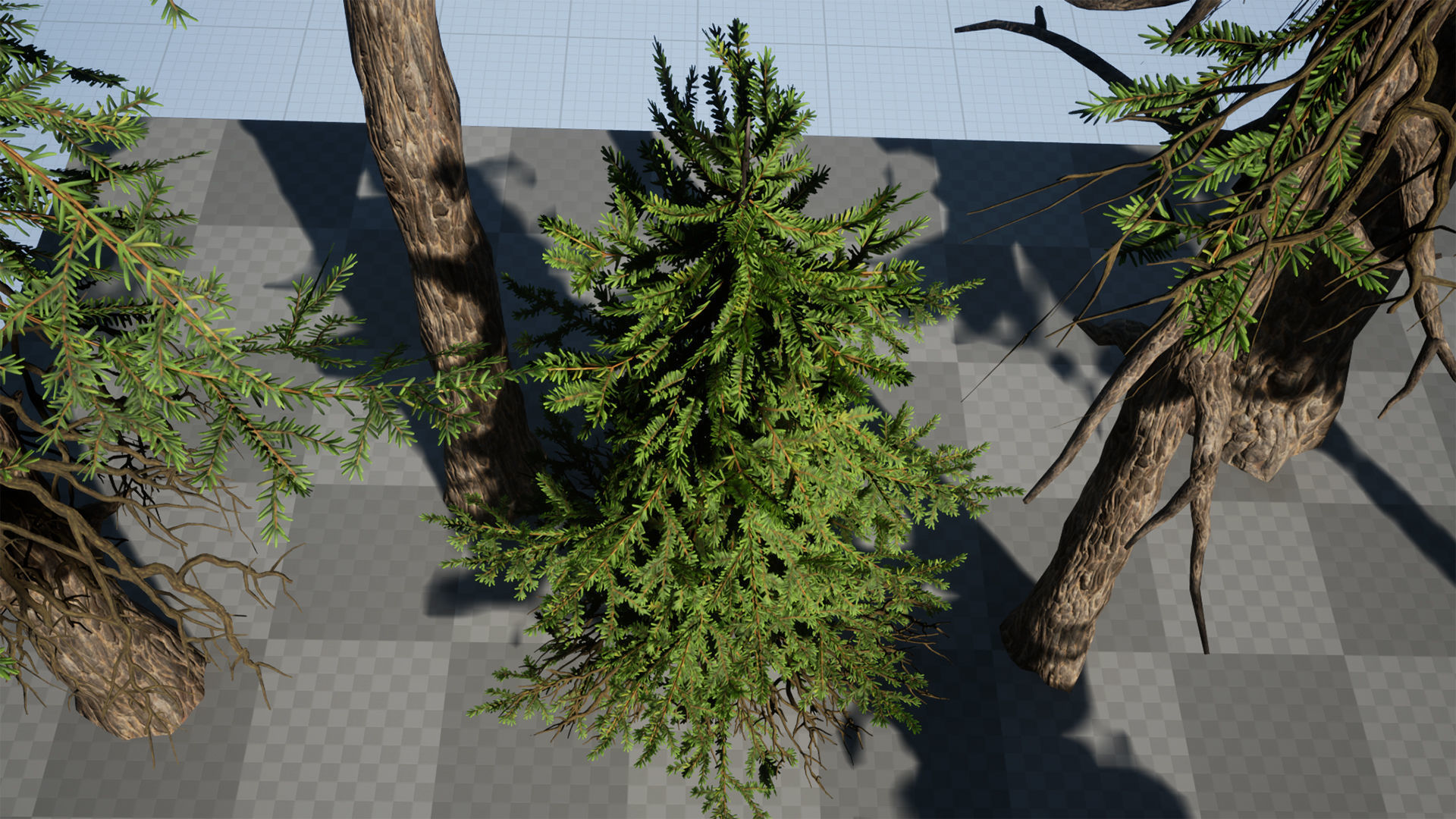 Conifer Small Pack Low-poly 3D model_16