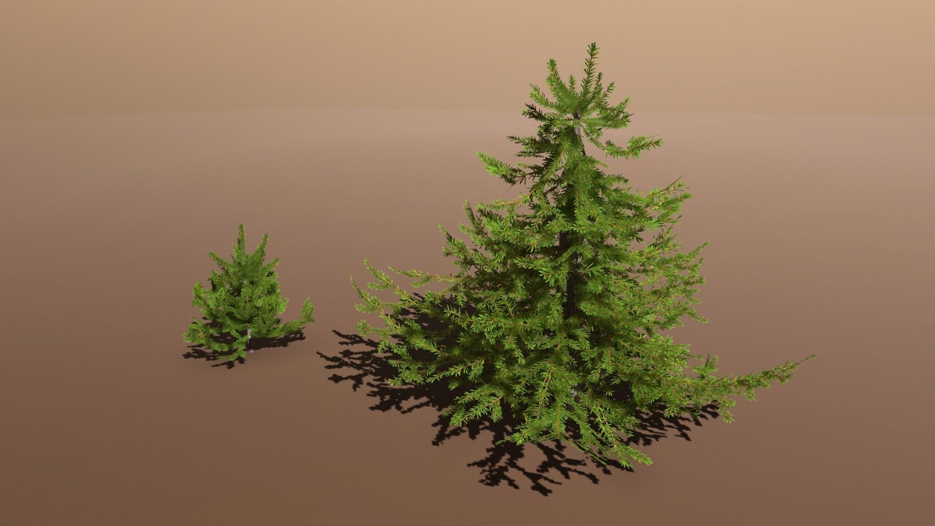 Conifer Small Pack Low-poly 3D model_5