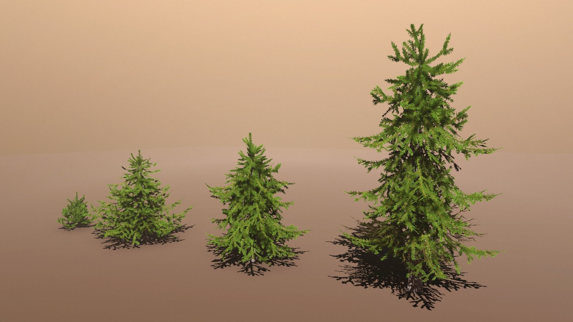 Conifer Small Pack Low-poly 3D model_8
