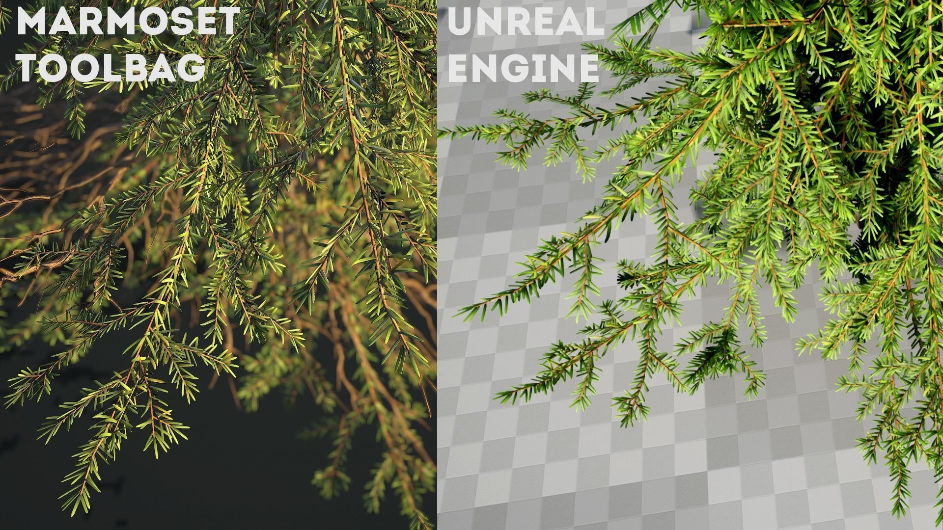 Conifer Small Pack Low-poly 3D model_15