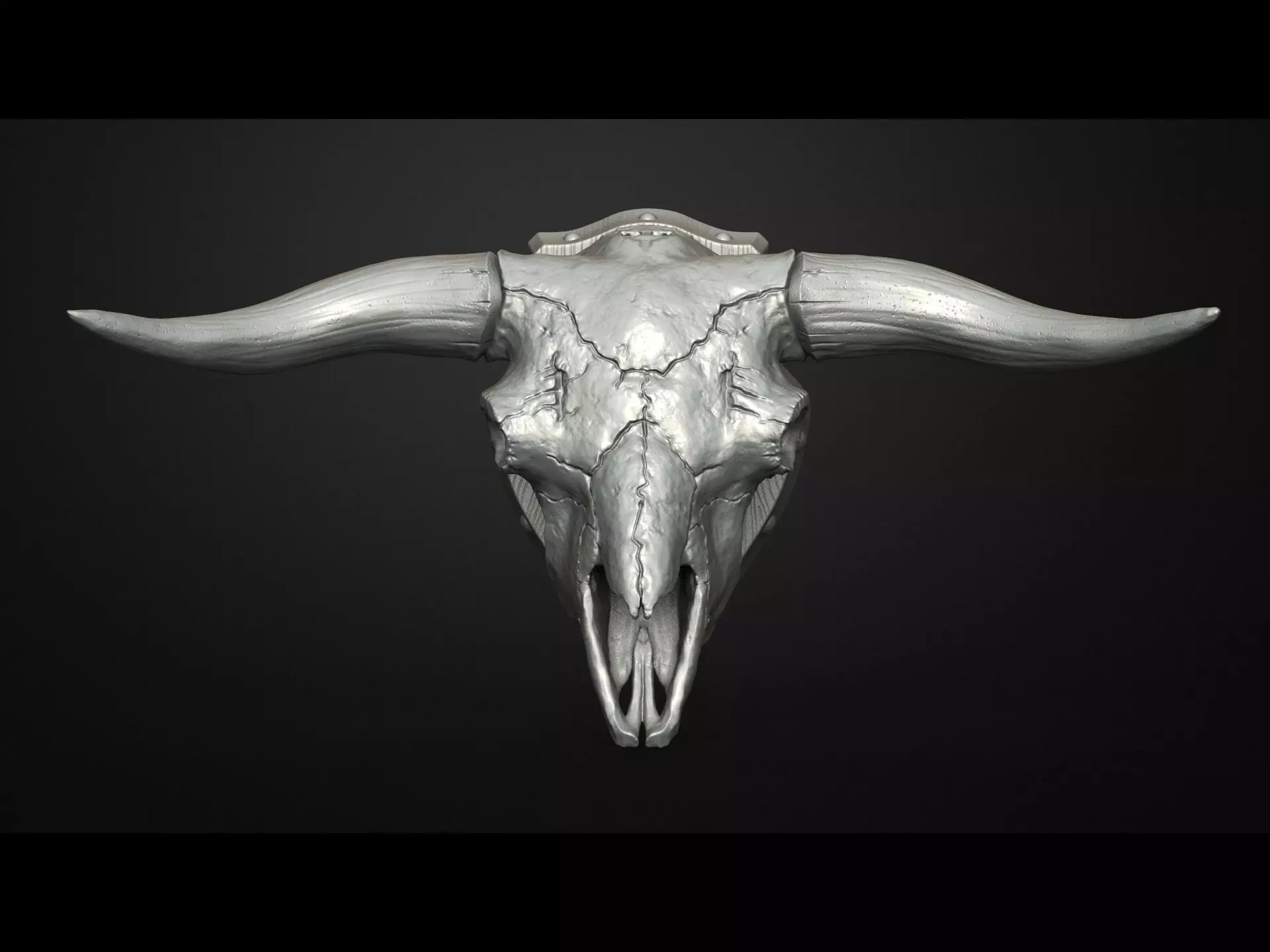Traditional Bull Scull Scary Bull Scull Decor on wall 3D print model