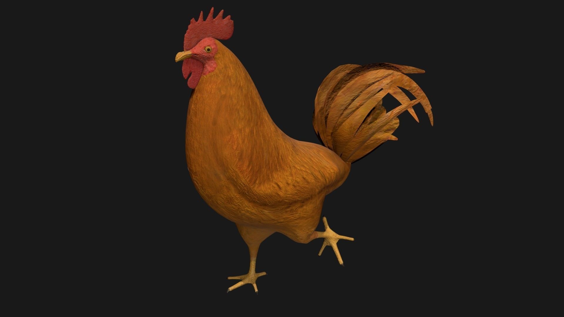 Brown Rooster Hen Low-poly 3D model_3