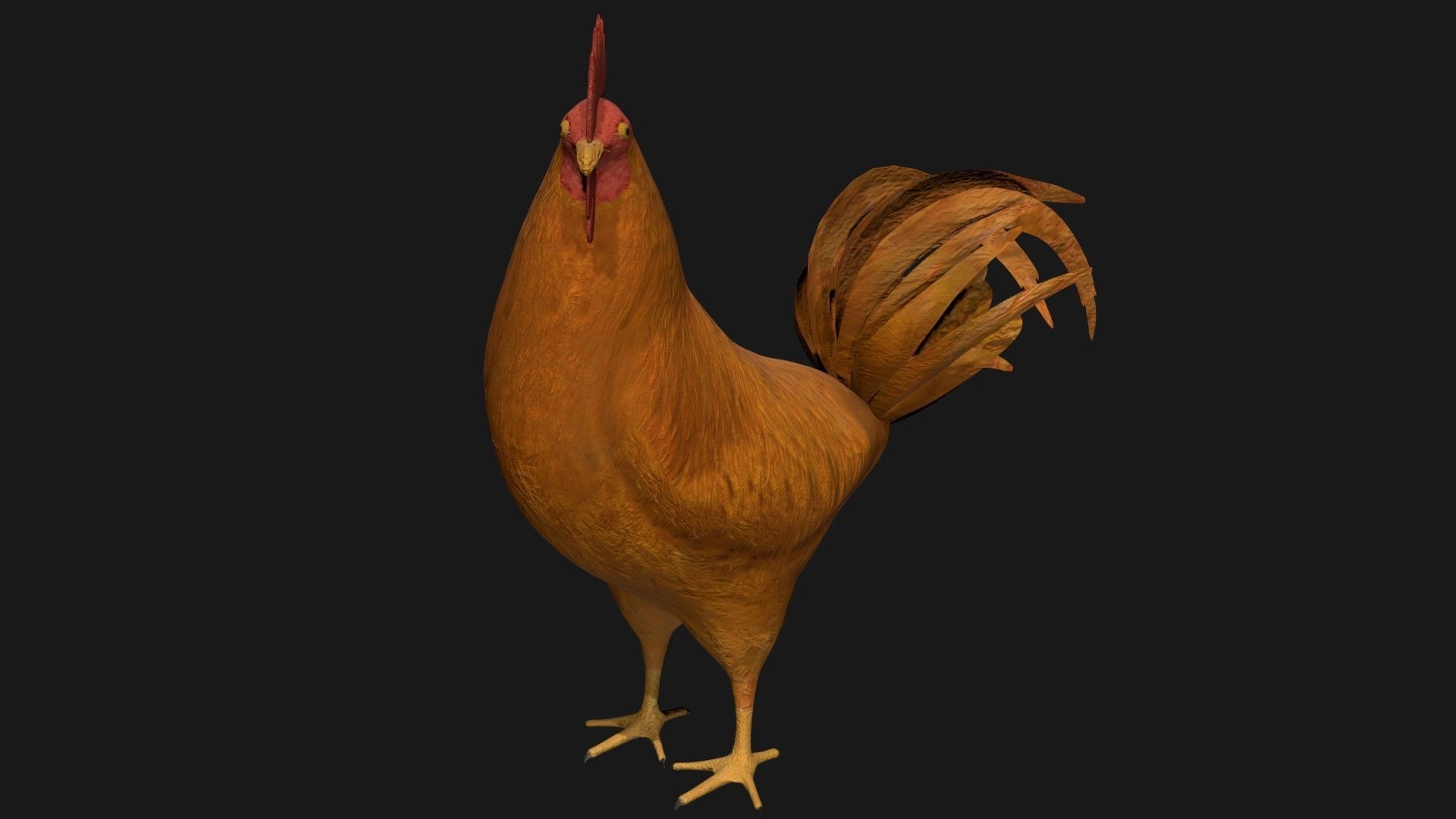 Brown Rooster Hen Low-poly 3D model_1