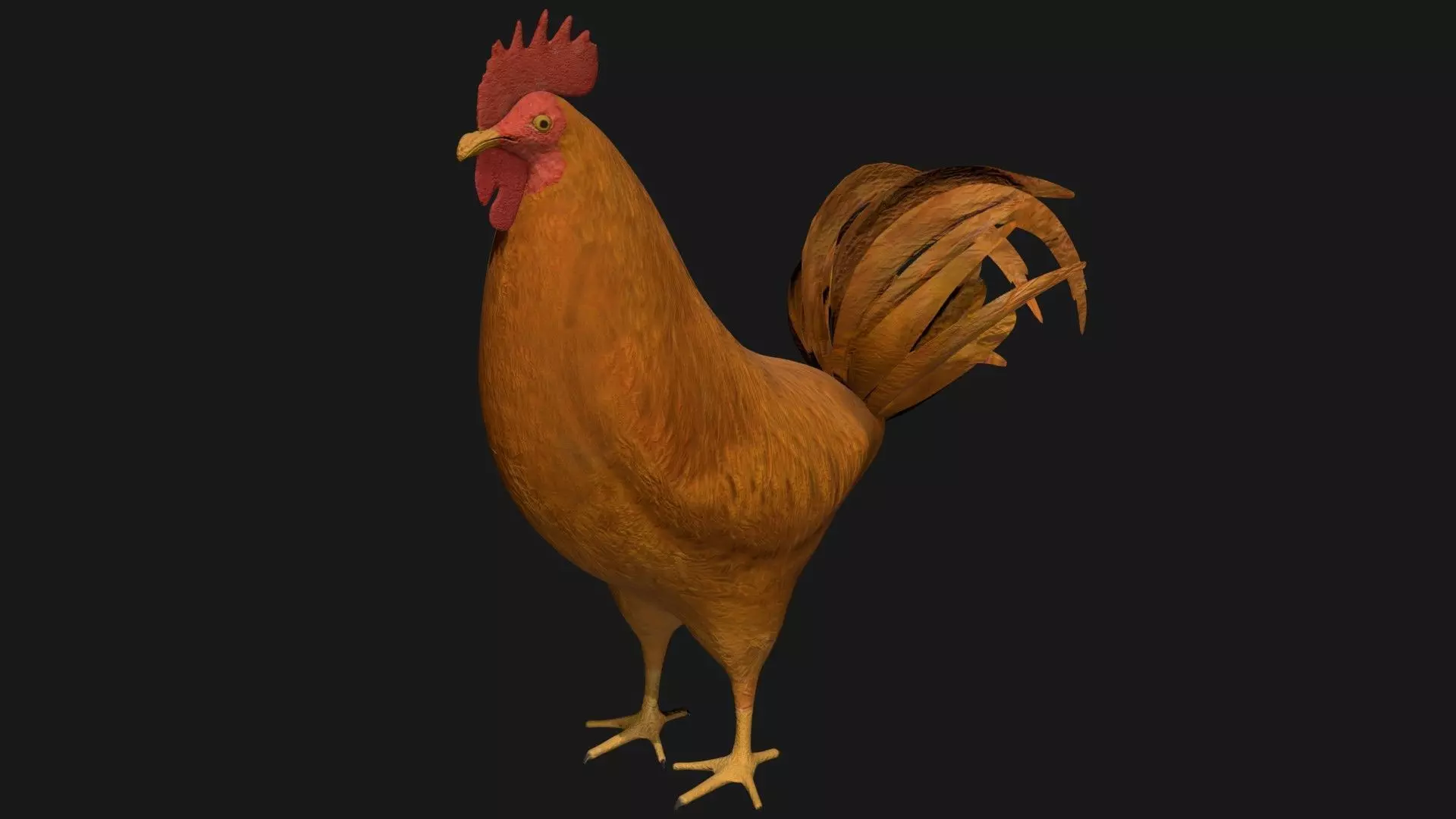 Brown Rooster Hen Low-poly 3D model_0
