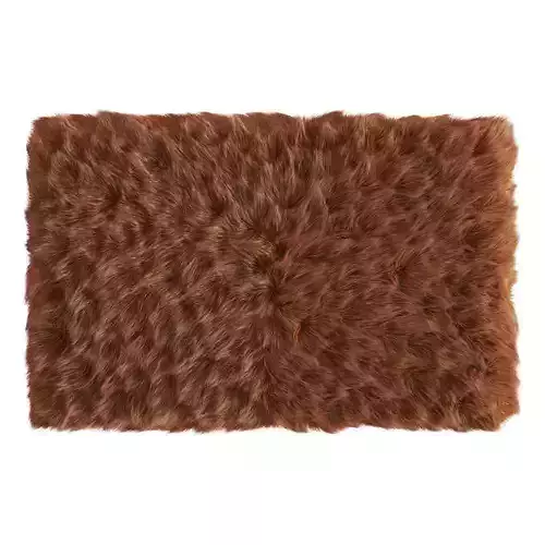 Small Rectangular Fluffy Rug 3D model