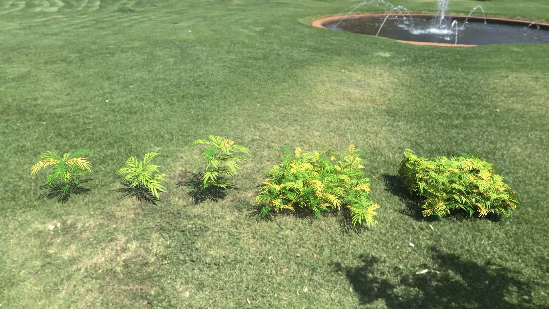 Chinese mahonia Narihira-hiiragi-nanten set 3D model_0