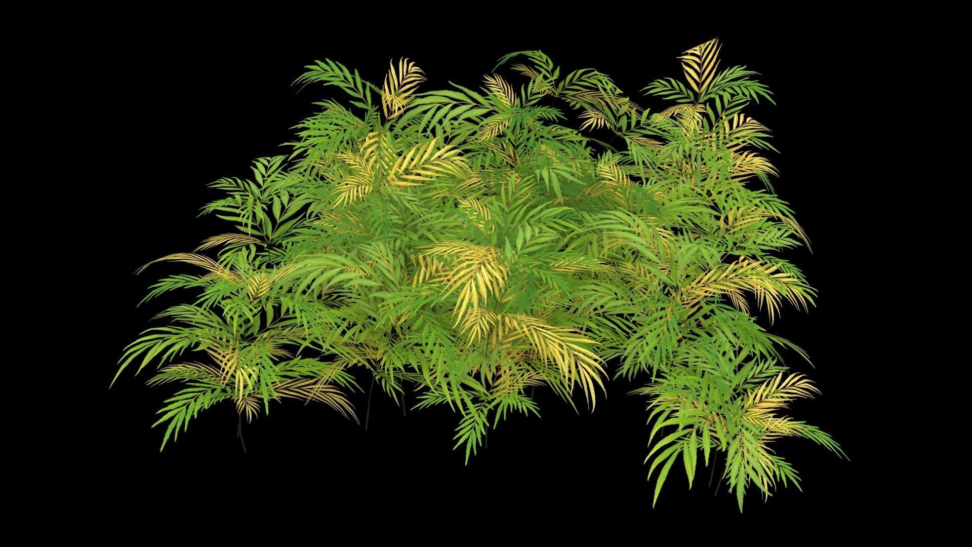 Chinese mahonia Narihira-hiiragi-nanten set 3D model_4