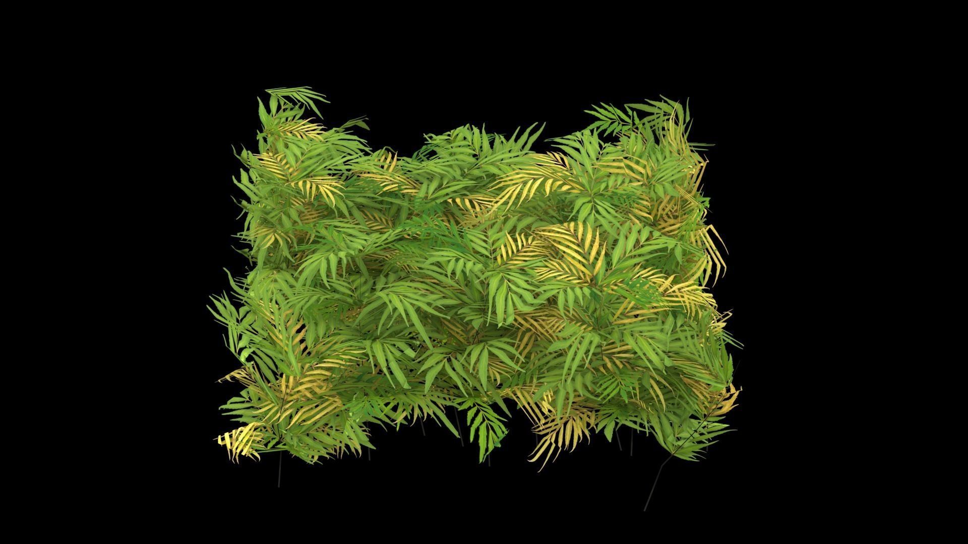 Chinese mahonia Narihira-hiiragi-nanten set 3D model_5