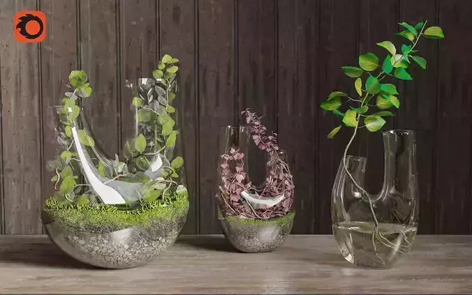 Plant Terrarium SET2
