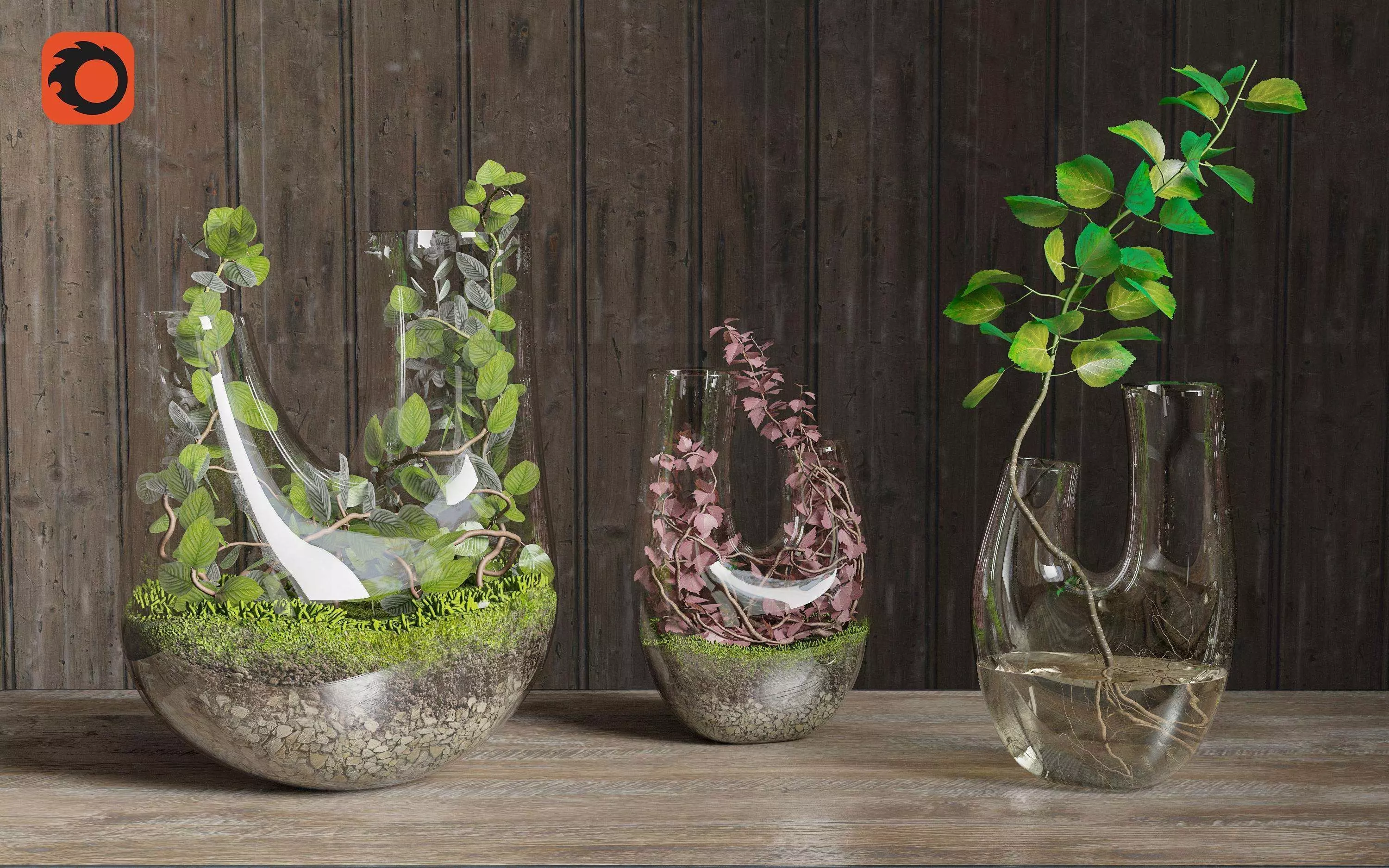 Plant Terrarium SET2 3D model