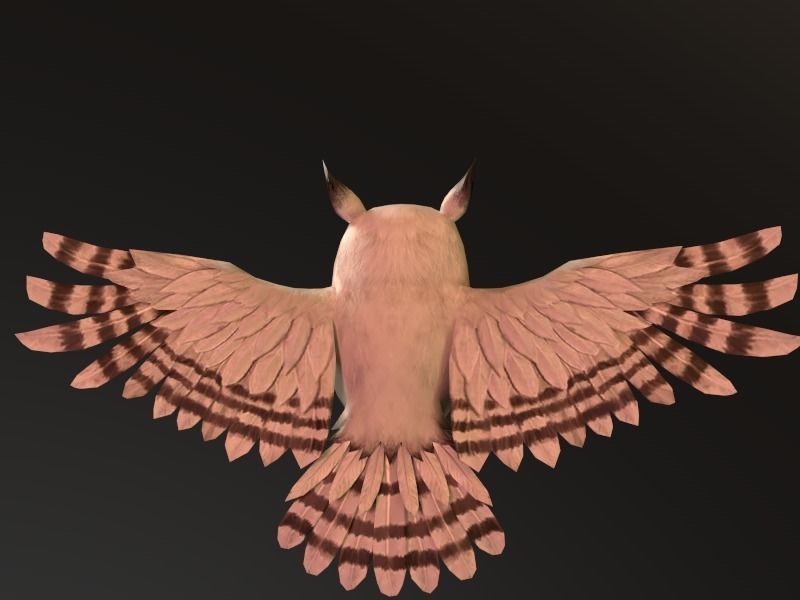 Owl SKEL Animation Low-poly 3D model_2
