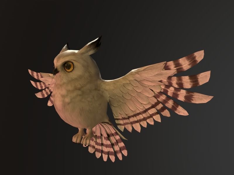 Owl SKEL Animation Low-poly 3D model_3