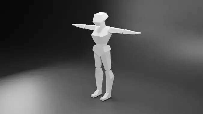 Female Low Poly mannequin