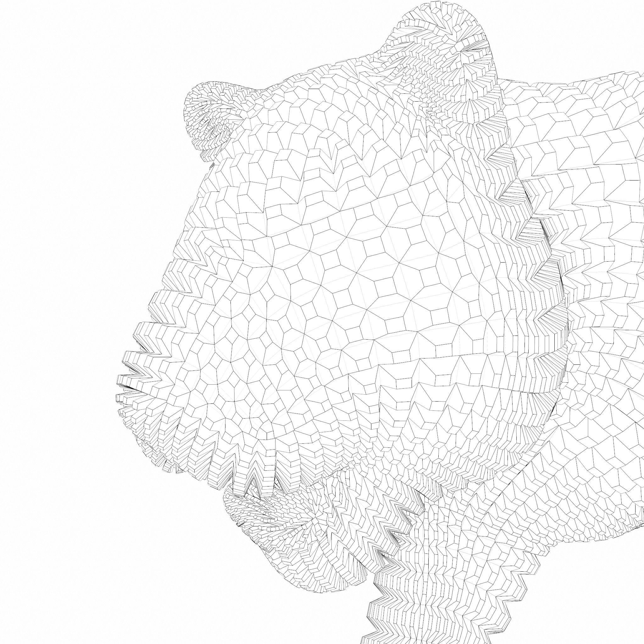 Tiger Abstract Object Wireframe 3D model_8