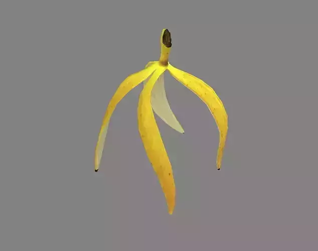A banana peel Low-poly 3D model