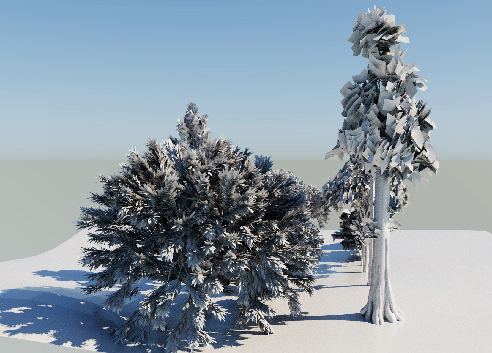 Trees 3D model_2