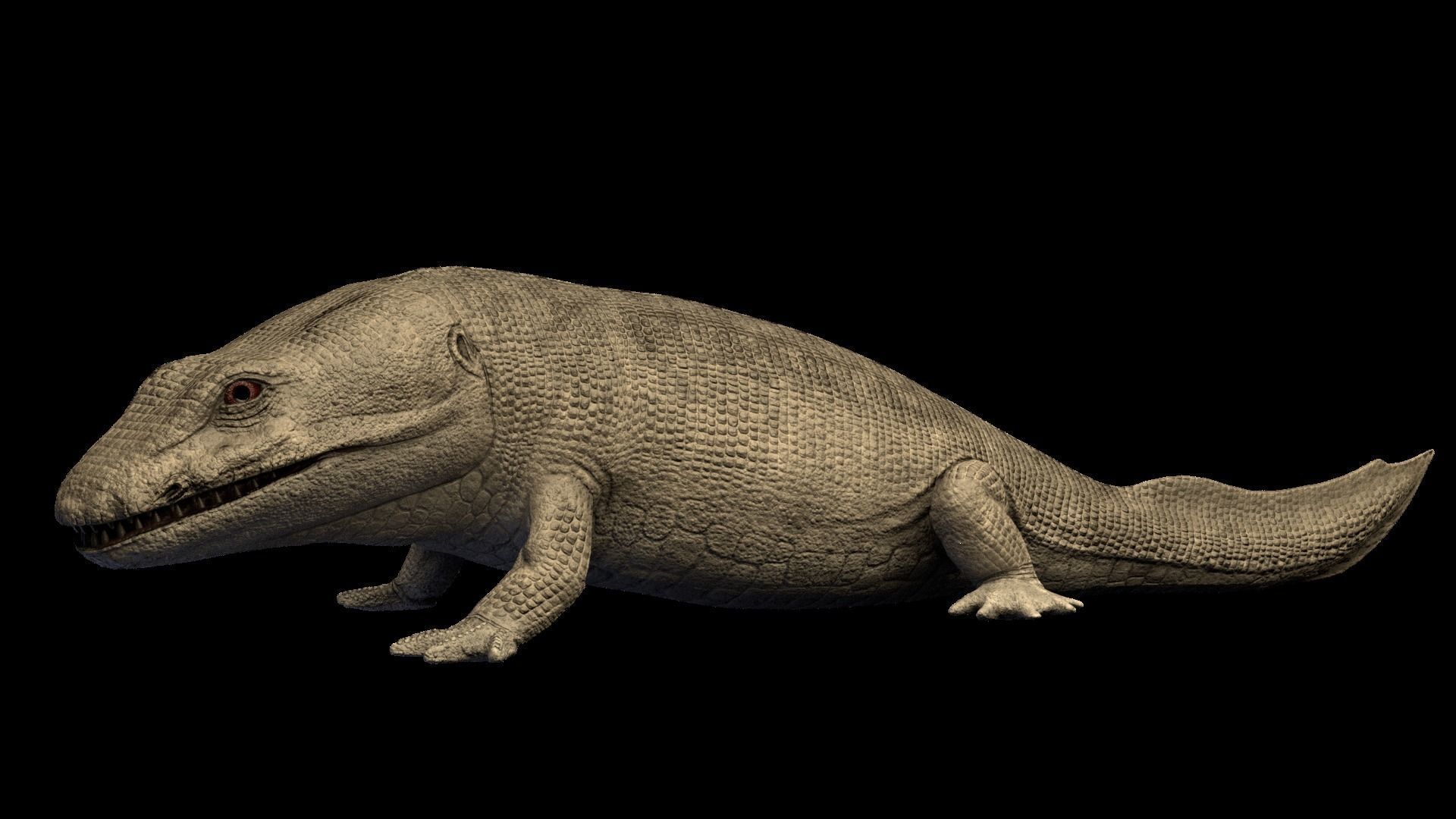 Ichthyostega Asset Pack Low-poly 3D model_3