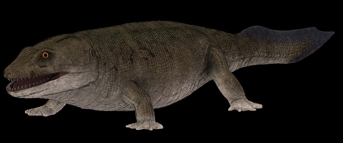 Ichthyostega Asset Pack Low-poly 3D model_9