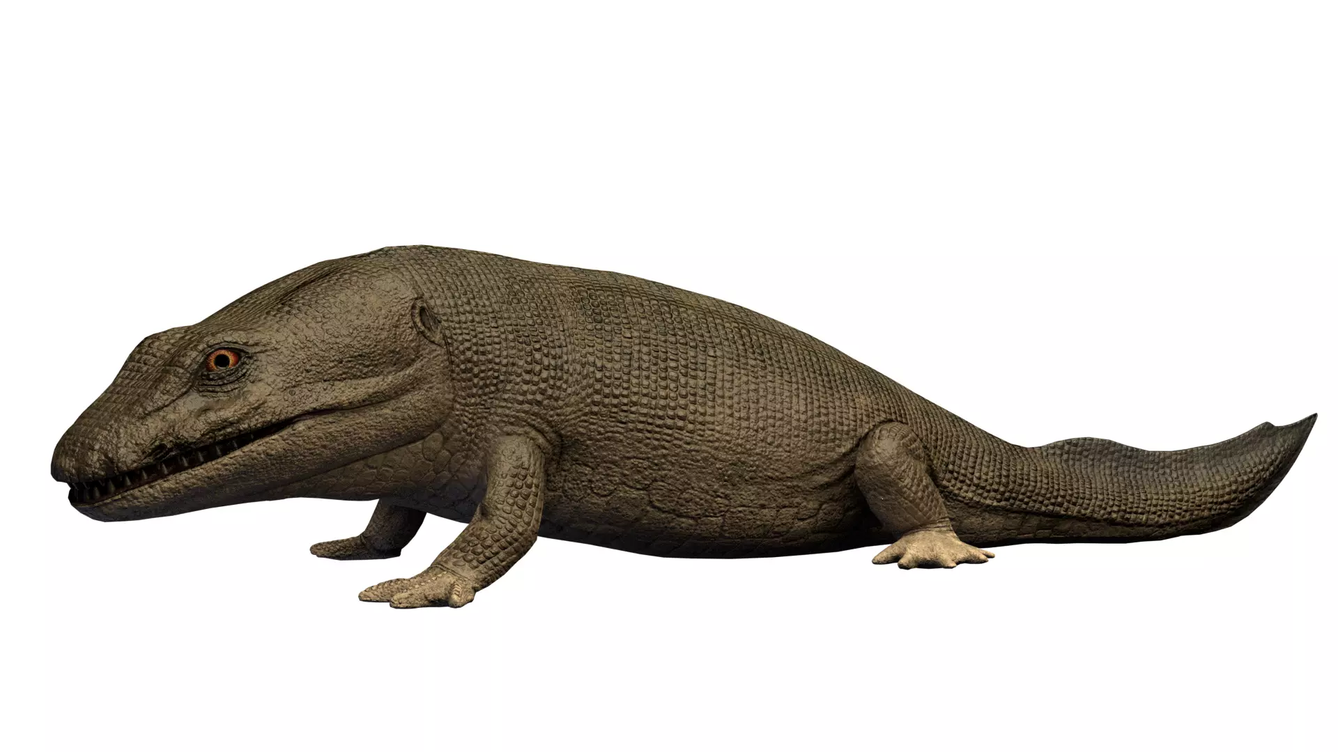 Ichthyostega Asset Pack Low-poly 3D model_0