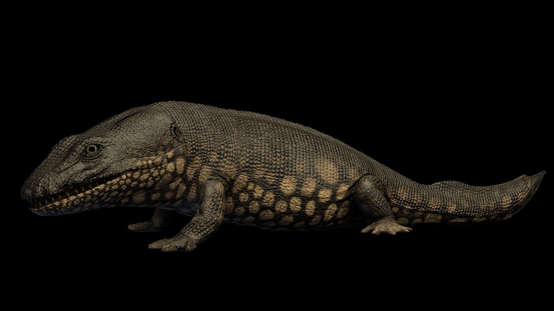 Ichthyostega Asset Pack Low-poly 3D model_2