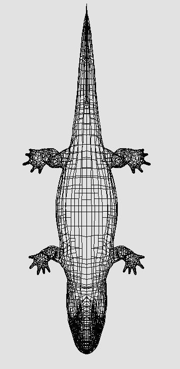 Ichthyostega Asset Pack Low-poly 3D model_13