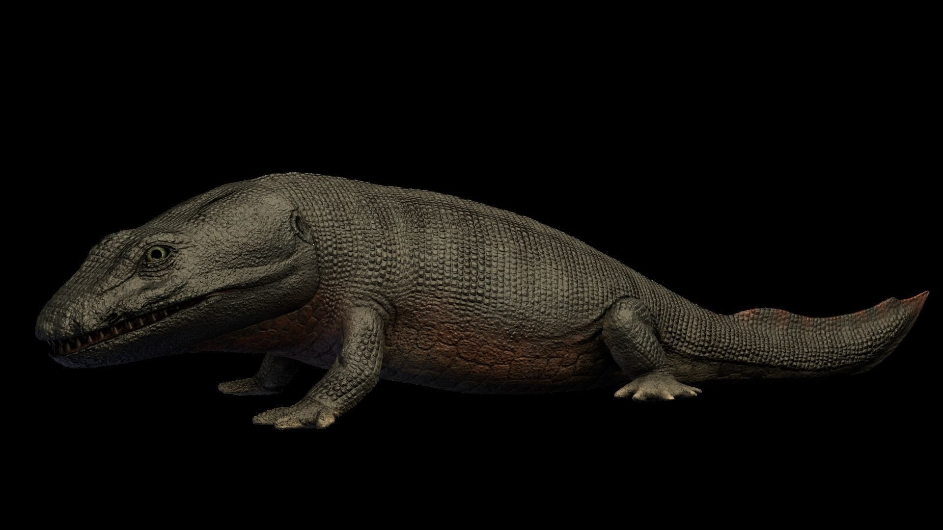 Ichthyostega Asset Pack Low-poly 3D model_5