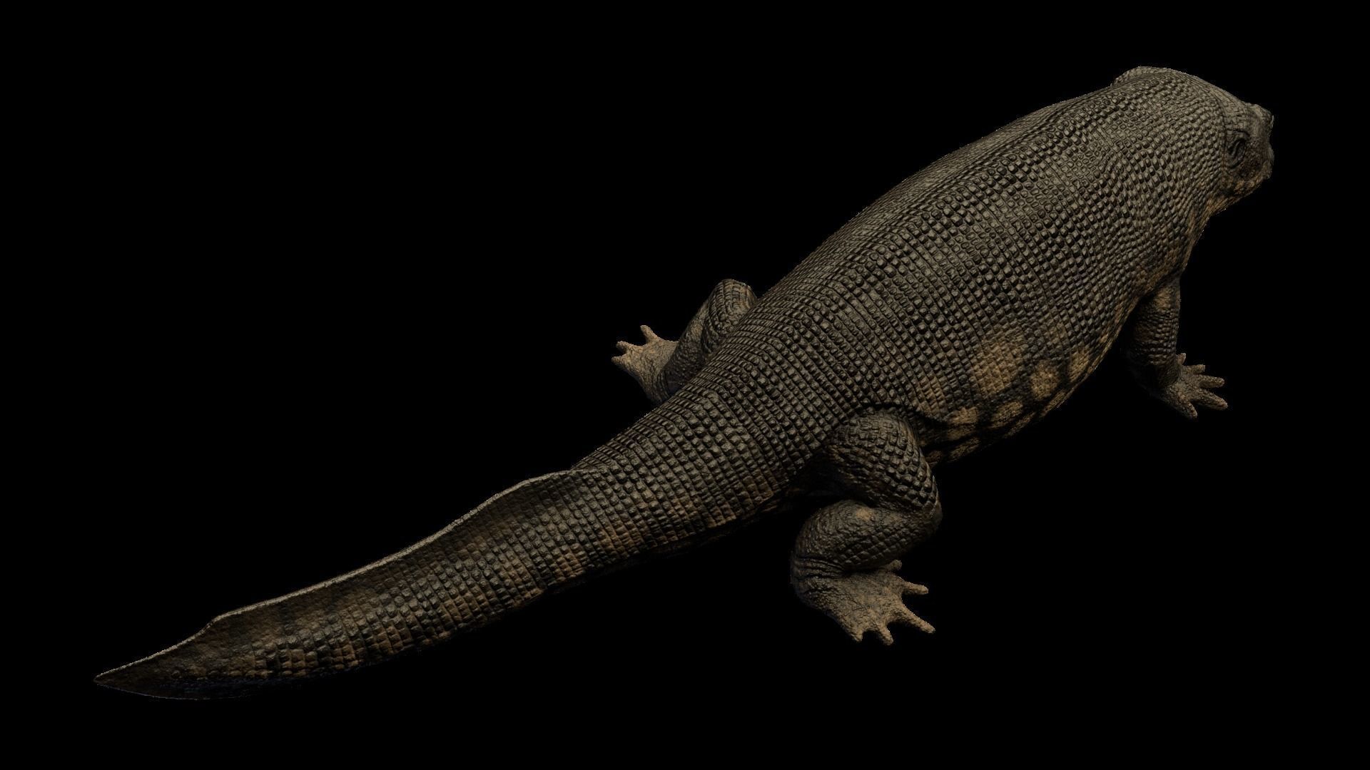 Ichthyostega Asset Pack Low-poly 3D model_7