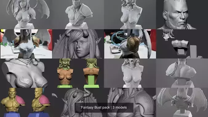 Fantasy Bust pack 3D Model Collection