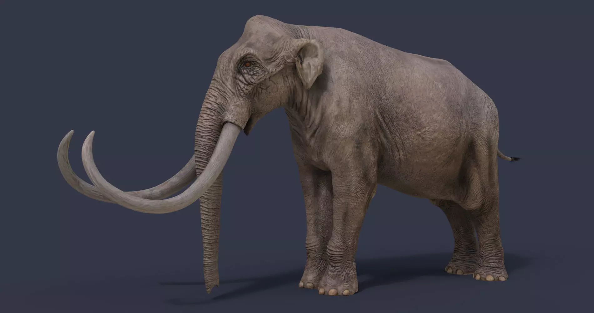 Columbian mammoth 3D model