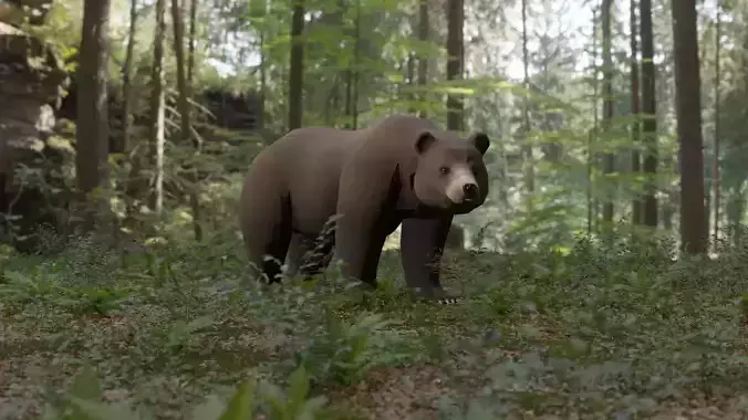 Bear LowPoly polar