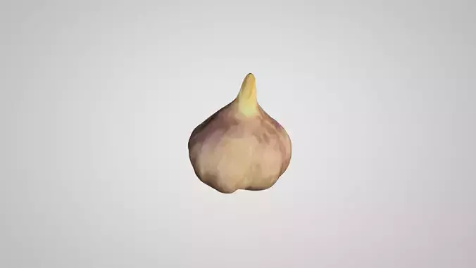 Realistic Garlic bulb of
