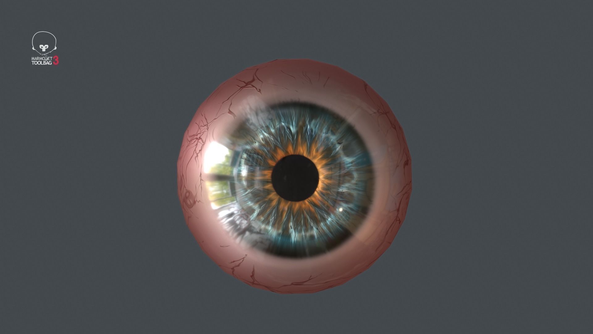 Realistic Eyeball Generator Low-poly 3D model_3