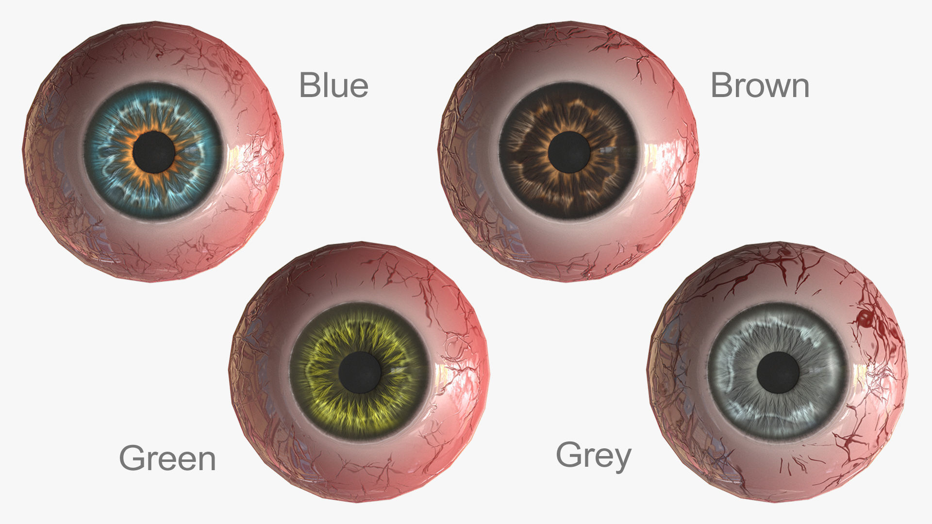 Realistic Eyeball Generator Low-poly 3D model_5