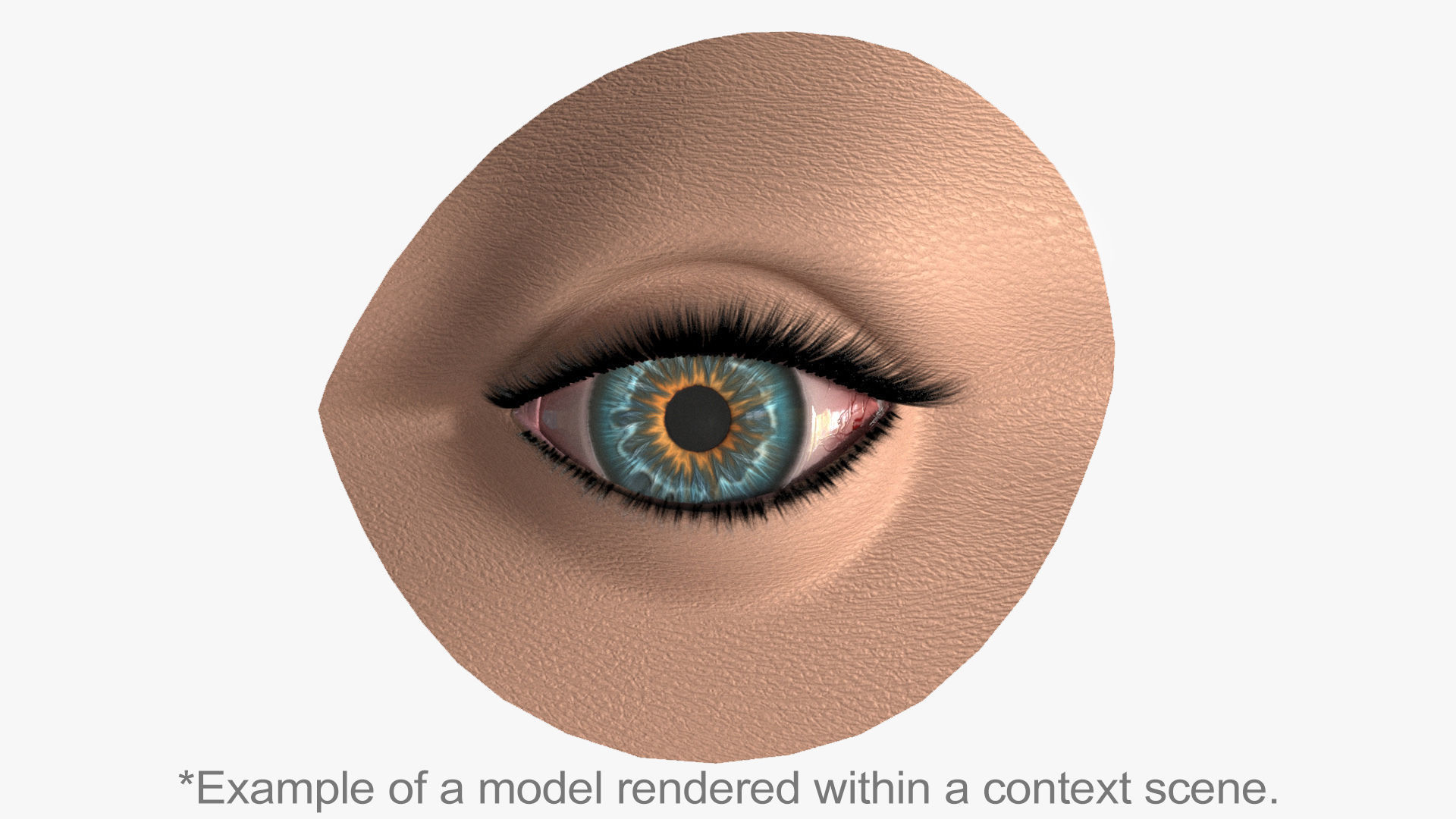 Realistic Eyeball Generator Low-poly 3D model_2