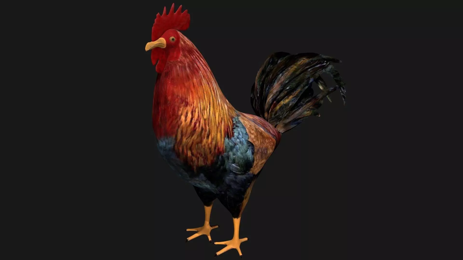 Rooster Hen Low-poly 3D model_0