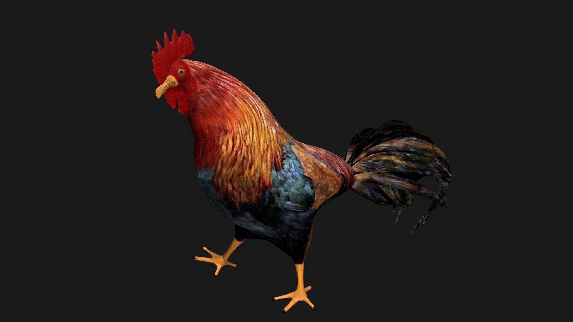 Rooster Hen Low-poly 3D model_4