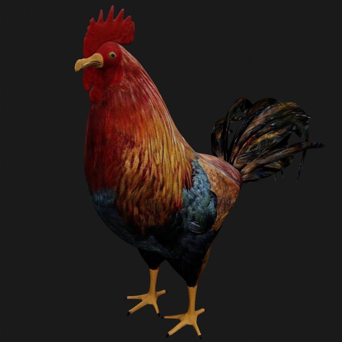 Rooster Hen Low-poly 3D model_7