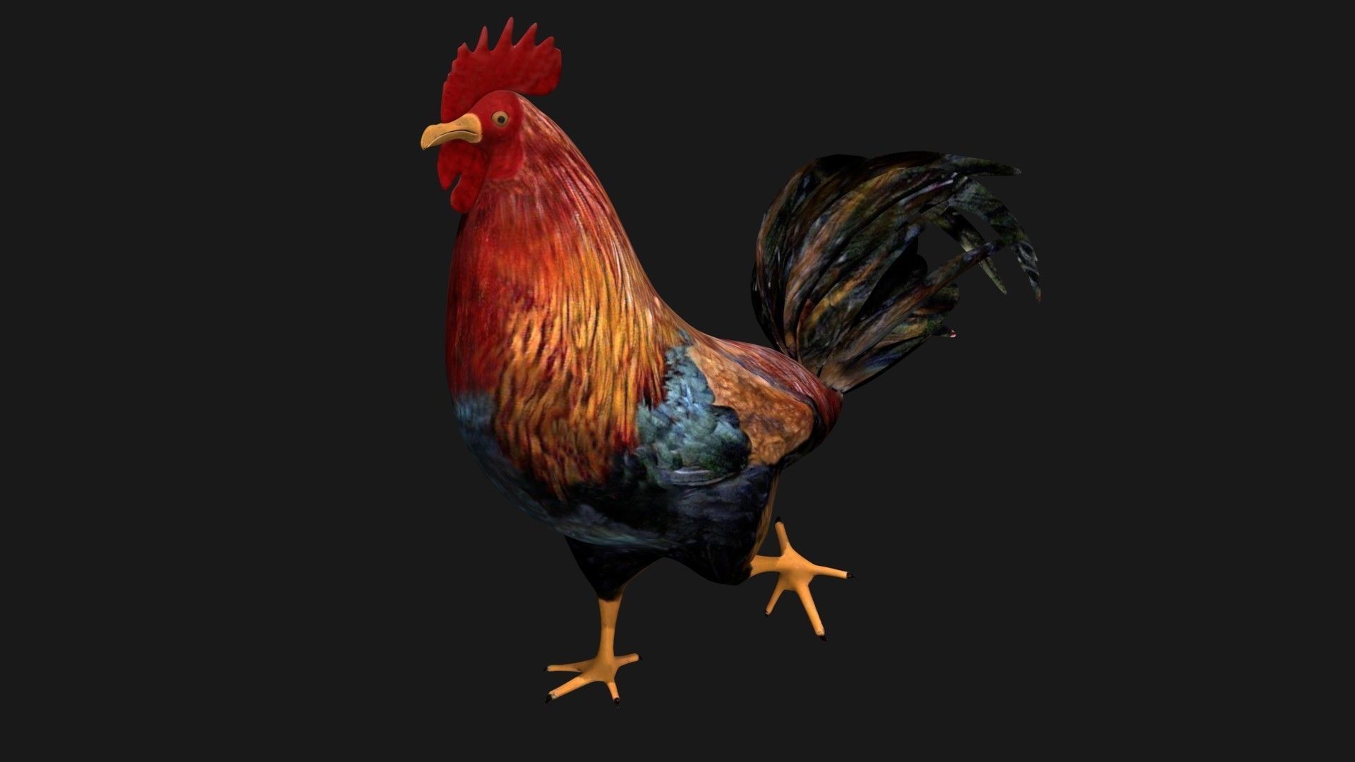 Rooster Hen Low-poly 3D model_3