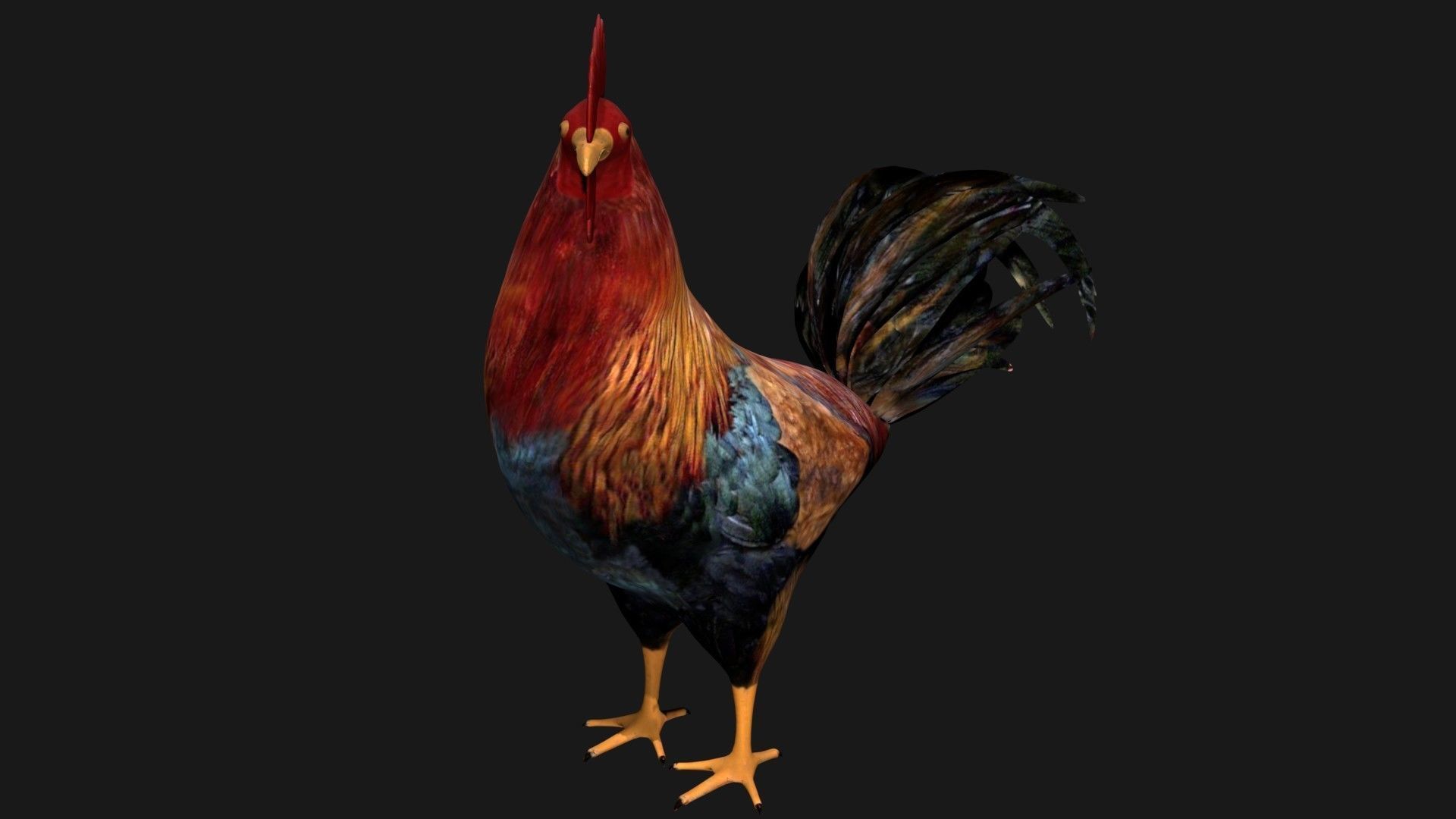 Rooster Hen Low-poly 3D model_1