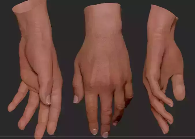 Male Hand 3D model
