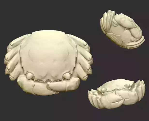 a crab
