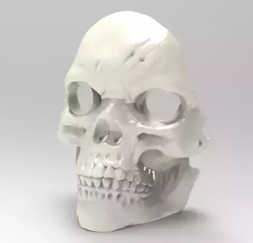 Face mask - skull