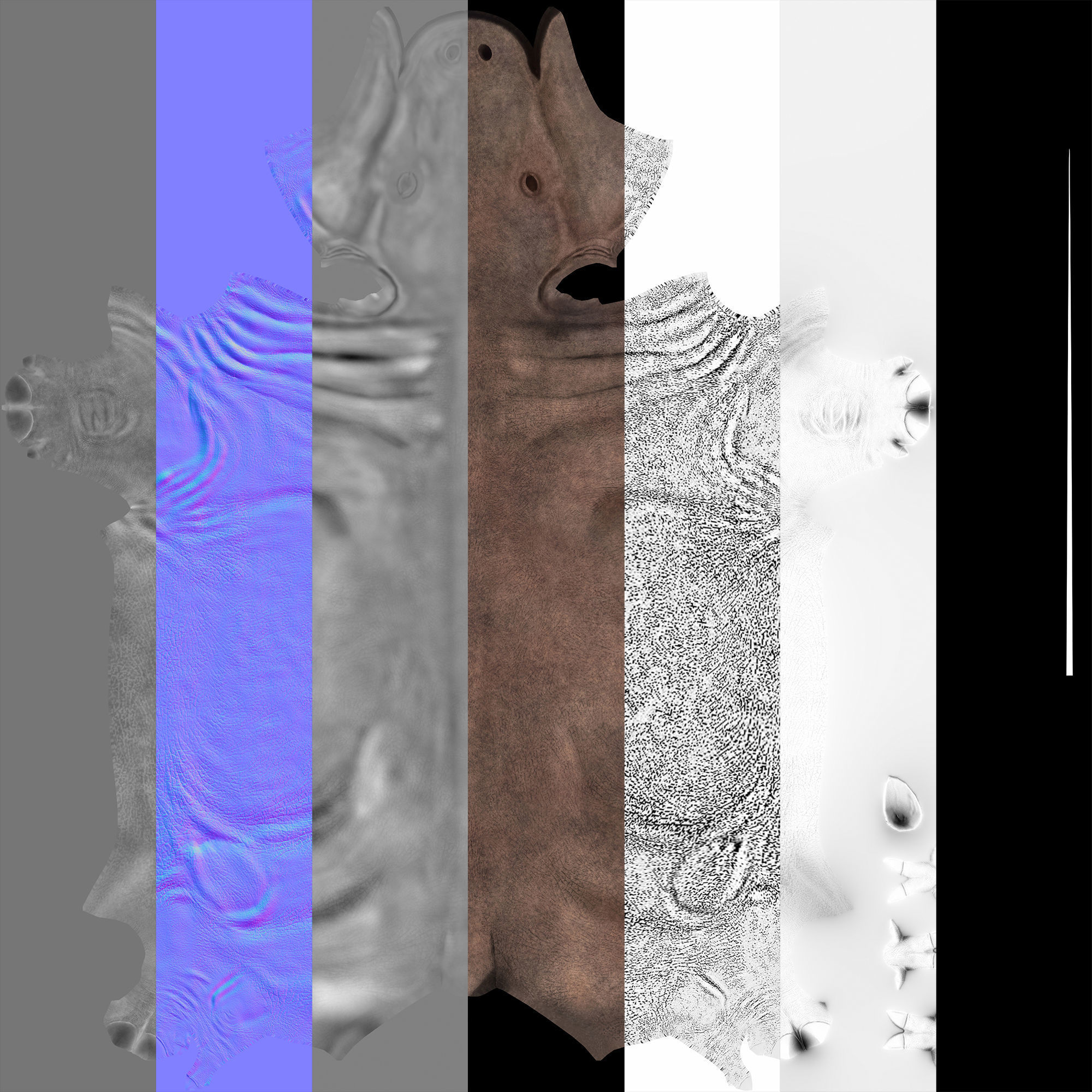 Anthracotherium magnum Low-poly 3D model_10