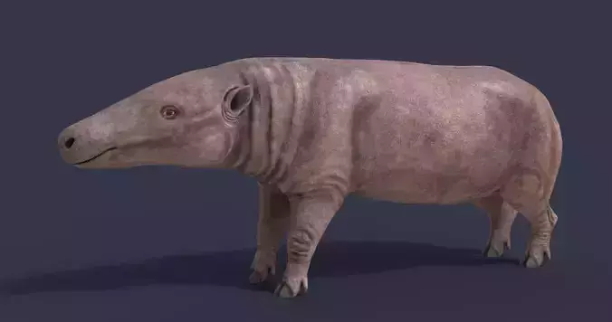 Anthracotherium magnum
